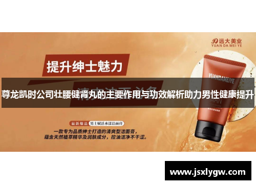 尊龙凯时公司壮腰健肾丸的主要作用与功效解析助力男性健康提升