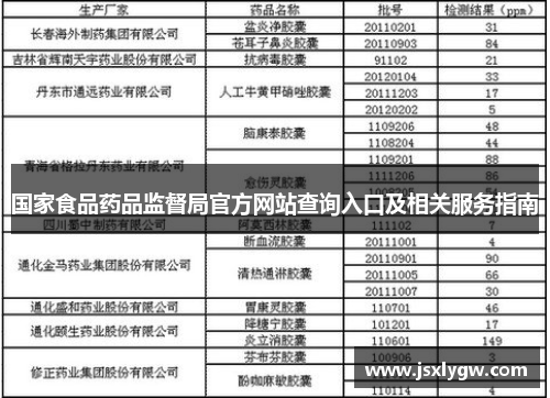 国家食品药品监督局官方网站查询入口及相关服务指南